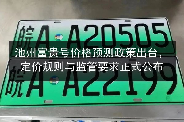 池州富贵号价格预测政策出台，定价规则与监管要求正式公布