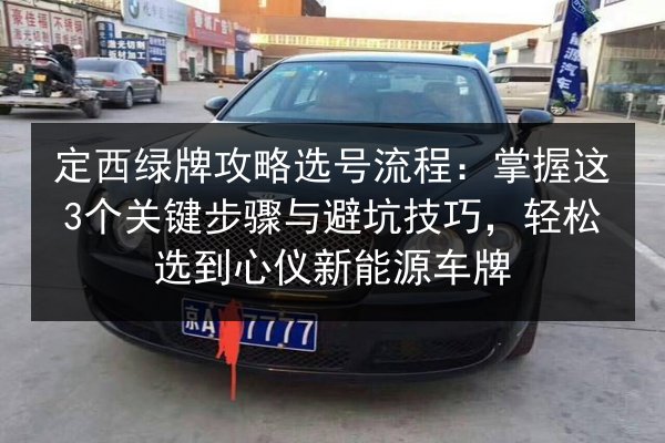 定西绿牌攻略选号流程：掌握这3个关键步骤与避坑技巧，轻松选到心仪新能源车牌 第2张