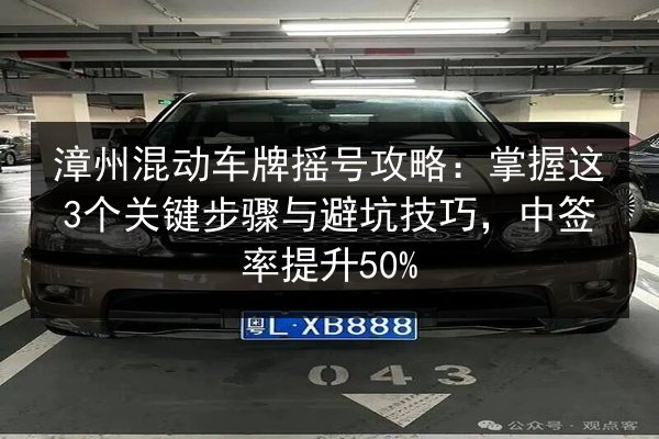 漳州混动车牌摇号攻略：掌握这3个关键步骤与避坑技巧，中签率提升50%