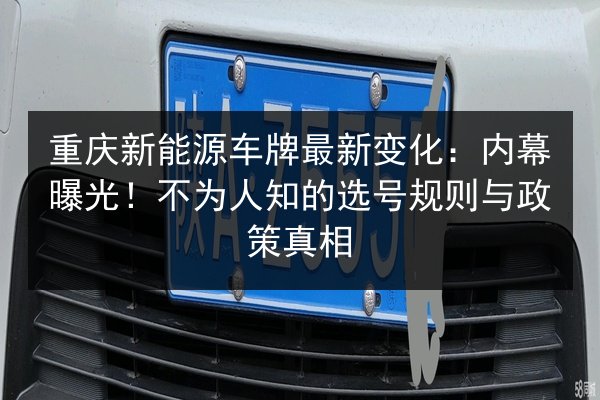 重庆新能源车牌最新变化:内幕曝光!不为人知的选号规则与政策真相 第2张 重庆新能源车牌最新变化:内幕曝光!不为人知的选号规则与政策真相 第2张