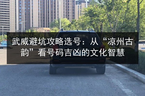武威避坑攻略选号：从“凉州古韵”看号码吉凶的文化智慧