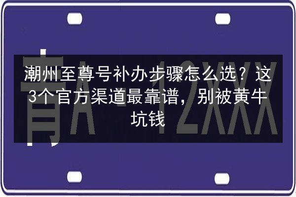 潮州至尊号补办步骤怎么选？这3个官方渠道最靠谱，别被黄牛坑钱