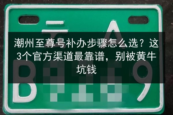 潮州至尊号补办步骤怎么选?这3个官方渠道最靠谱,别被黄牛坑钱 第3张 潮州至尊号补办步骤怎么选?这3个官方渠道最靠谱,别被黄牛坑钱 第3张