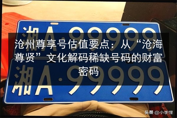 沧州尊享号估值要点:从“沧海尊贤”文化解码稀缺号码的财富密码 第3张 沧州尊享号估值要点:从“沧海尊贤”文化解码稀缺号码的财富密码 第3张