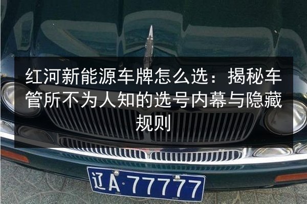 红河新能源车牌怎么选：揭秘车管所不为人知的选号内幕与隐藏规则