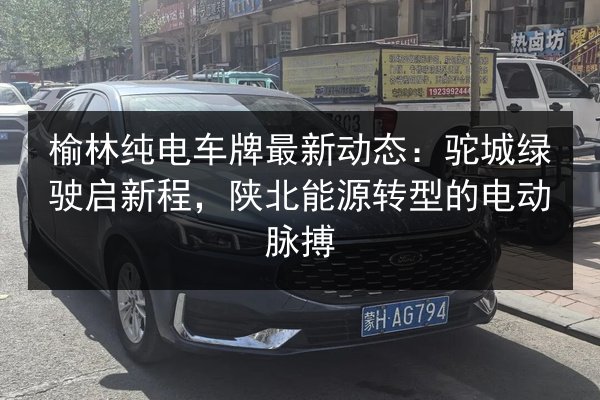 榆林纯电车牌最新动态：驼城绿驶启新程，陕北能源转型的电动脉搏
