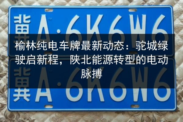 榆林纯电车牌最新动态：驼城绿驶启新程，陕北能源转型的电动脉搏 第2张