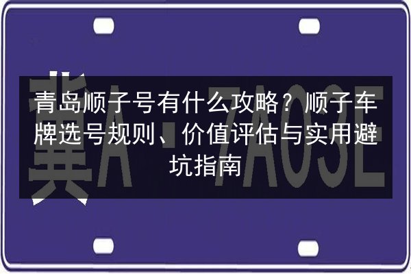 青岛顺子号有什么攻略?顺子车牌选号规则、价值评估与实用避坑指南 第2张 青岛顺子号有什么攻略?顺子车牌选号规则、价值评估与实用避坑指南 第2张
