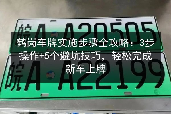 鹤岗车牌实施步骤全攻略:3步操作+5个避坑技巧,轻松完成新车上牌 第3张 鹤岗车牌实施步骤全攻略:3步操作+5个避坑技巧,轻松完成新车上牌 第3张