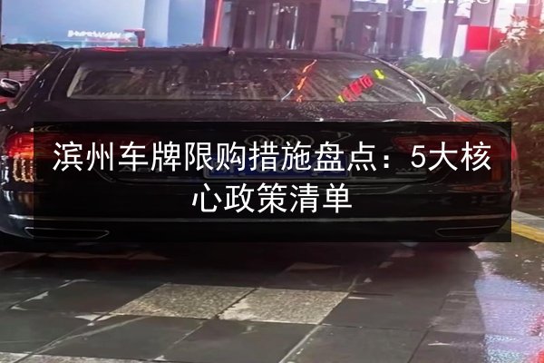 滨州车牌限购措施盘点:5大核心政策清单 第3张 滨州车牌限购措施盘点:5大核心政策清单 第3张