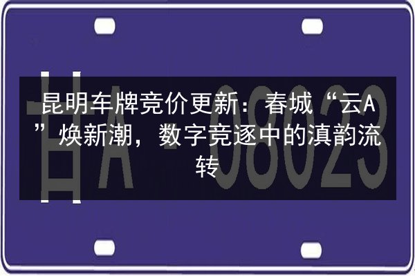昆明车牌竞价更新：春城“云A”焕新潮，数字竞逐中的滇韵流转