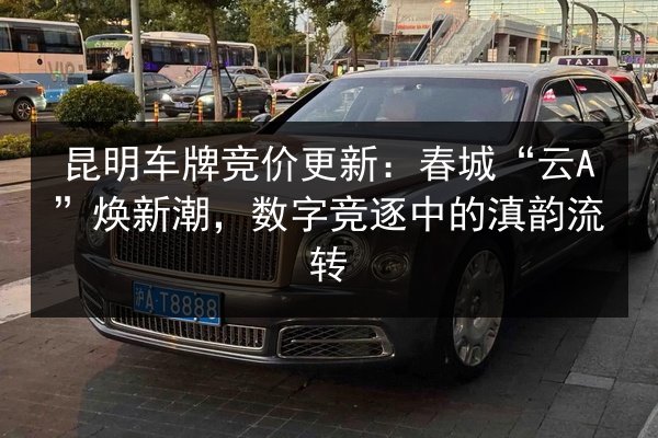 昆明车牌竞价更新:春城“云A”焕新潮,数字竞逐中的滇韵流转 第2张 昆明车牌竞价更新:春城“云A”焕新潮,数字竞逐中的滇韵流转 第2张