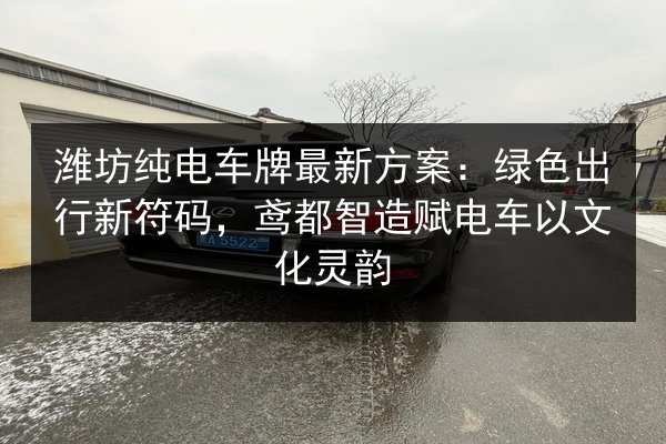 潍坊纯电车牌最新方案:绿色出行新符码,鸢都智造赋电车以文化灵韵 第2张 潍坊纯电车牌最新方案:绿色出行新符码,鸢都智造赋电车以文化灵韵 第2张