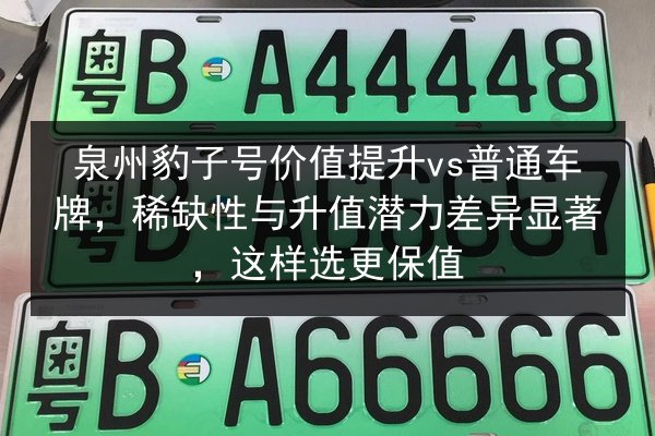 泉州豹子号价值提升vs普通车牌，稀缺性与升值潜力差异显著，这样选更保值 第3张