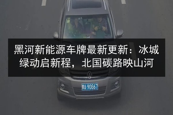 黑河新能源车牌最新更新：冰城绿动启新程，北国碳路映山河 第2张