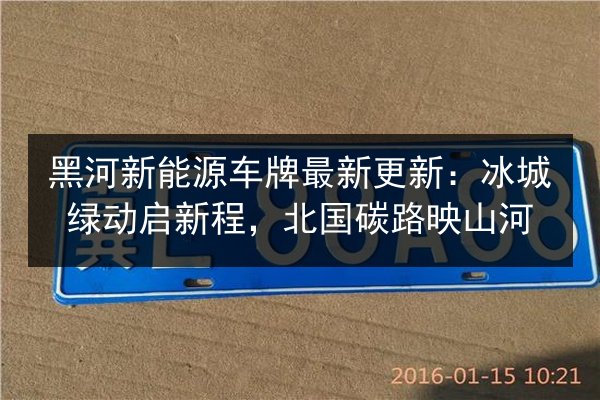 黑河新能源车牌最新更新：冰城绿动启新程，北国碳路映山河 第3张