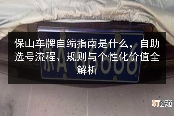 保山车牌自编指南是什么，自助选号流程、规则与个性化价值全解析