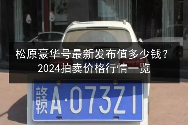 松原豪华号最新发布值多少钱？2024拍卖价格行情一览