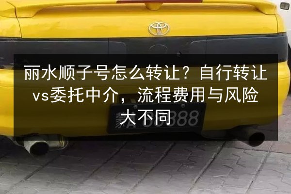 丽水顺子号怎么转让？自行转让vs委托中介，流程费用与风险大不同