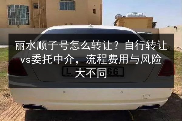 丽水顺子号怎么转让？自行转让vs委托中介，流程费用与风险大不同 第2张