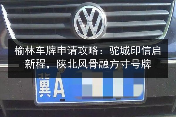 榆林车牌申请攻略：驼城印信启新程，陕北风骨融方寸号牌