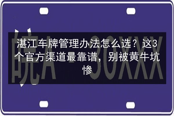 湛江车牌管理办法怎么选？这3个官方渠道最靠谱，别被黄牛坑惨