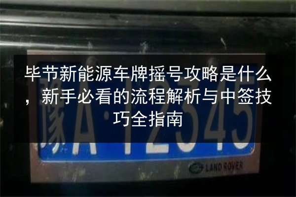 毕节新能源车牌摇号攻略是什么，新手必看的流程解析与中签技巧全指南