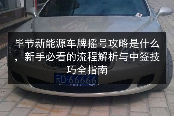 毕节新能源车牌摇号攻略是什么，新手必看的流程解析与中签技巧全指南 第2张