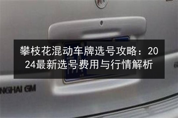 攀枝花混动车牌选号攻略：2024最新选号费用与行情解析 第2张