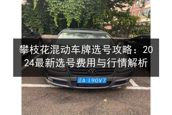 攀枝花混动车牌选号攻略：2024最新选号费用与行情解析 第3张