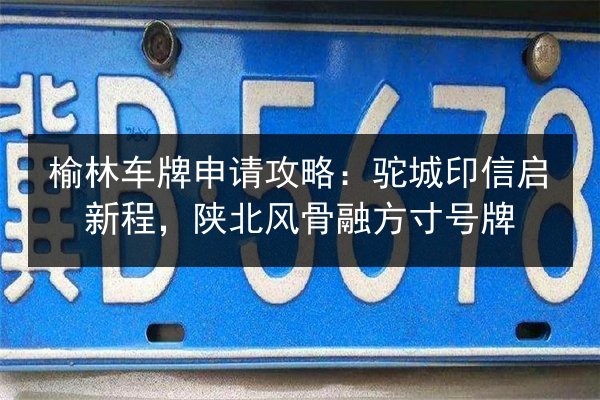 榆林车牌申请攻略：驼城印信启新程，陕北风骨融方寸号牌 第3张
