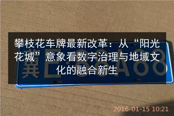攀枝花车牌最新改革:从“阳光花城”意象看数字治理与地域文化的融合新生 第2张 攀枝花车牌最新改革:从“阳光花城”意象看数字治理与地域文化的融合新生 第2张