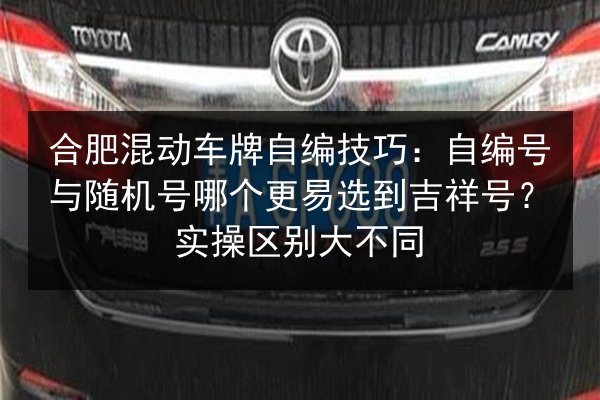 合肥混动车牌自编技巧:自编号与随机号哪个更易选到吉祥号?实操区别大不同 第2张 合肥混动车牌自编技巧:自编号与随机号哪个更易选到吉祥号?实操区别大不同 第2张