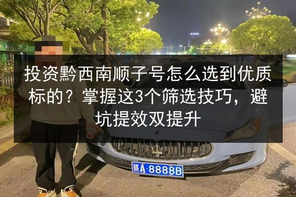 投资黔西南顺子号怎么选到优质标的？掌握这3个筛选技巧，避坑提效双提升 第2张