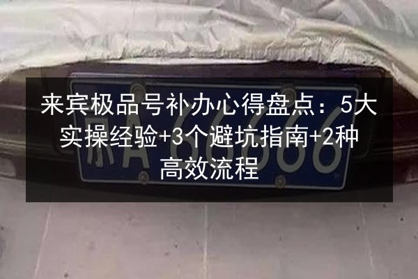 来宾极品号补办心得盘点:5大实操经验+3个避坑指南+2种高效流程 第3张 来宾极品号补办心得盘点:5大实操经验+3个避坑指南+2种高效流程 第3张