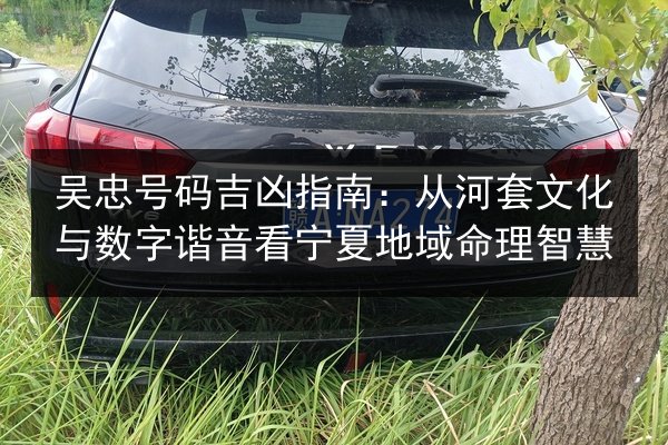 吴忠号码吉凶指南:从河套文化与数字谐音看宁夏地域命理智慧 第2张 吴忠号码吉凶指南:从河套文化与数字谐音看宁夏地域命理智慧 第2张