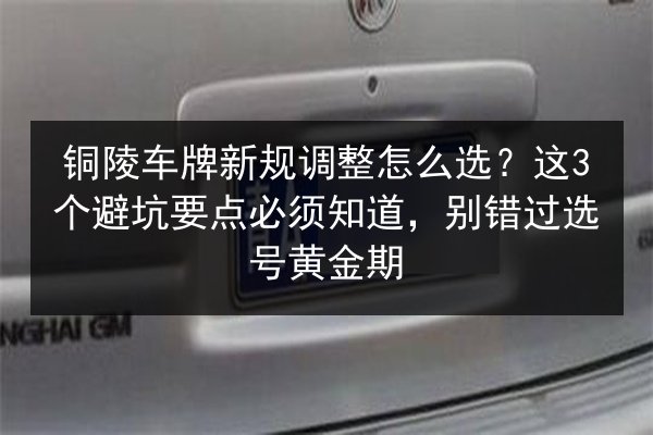 铜陵车牌新规调整怎么选?这3个避坑要点必须知道,别错过选号黄金期 第3张 铜陵车牌新规调整怎么选?这3个避坑要点必须知道,别错过选号黄金期 第3张
