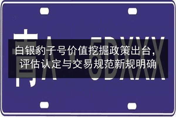 白银豹子号价值挖掘政策出台，评估认定与交易规范新规明确