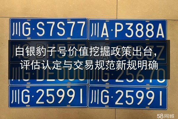 白银豹子号价值挖掘政策出台，评估认定与交易规范新规明确 第2张