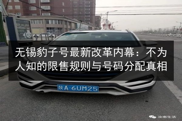 无锡豹子号最新改革内幕：不为人知的限售规则与号码分配真相