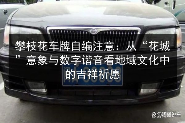 攀枝花车牌自编注意:从“花城”意象与数字谐音看地域文化中的吉祥祈愿 第3张 攀枝花车牌自编注意:从“花城”意象与数字谐音看地域文化中的吉祥祈愿 第3张