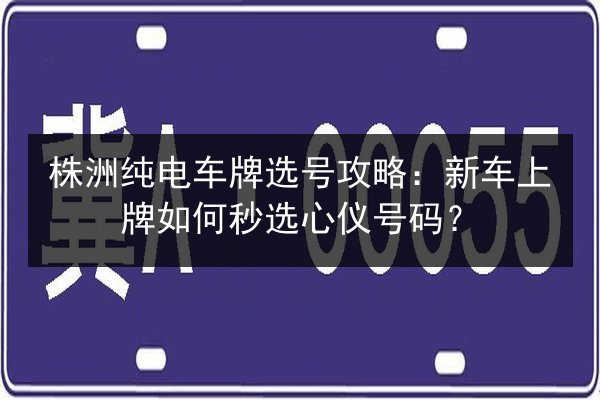 株洲纯电车牌选号攻略：新车上牌如何秒选心仪号码？