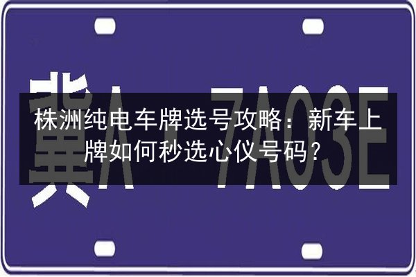株洲纯电车牌选号攻略:新车上牌如何秒选心仪号码? 第2张 株洲纯电车牌选号攻略:新车上牌如何秒选心仪号码? 第2张