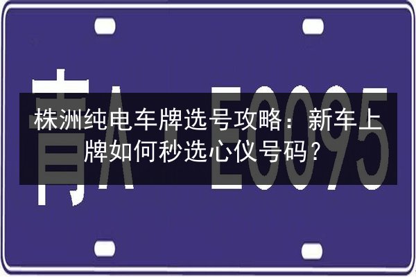 株洲纯电车牌选号攻略:新车上牌如何秒选心仪号码? 第3张 株洲纯电车牌选号攻略:新车上牌如何秒选心仪号码? 第3张
