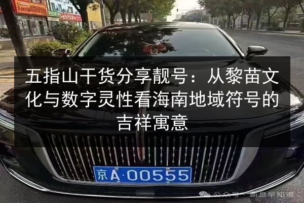 五指山干货分享靓号：从黎苗文化与数字灵性看海南地域符号的吉祥寓意 第2张