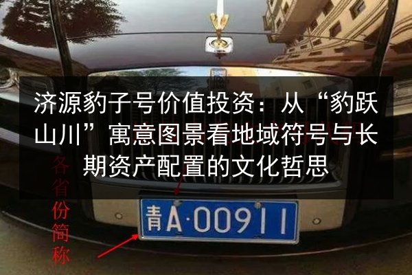 济源豹子号价值投资:从“豹跃山川”寓意图景看地域符号与长期资产配置的文化哲思 第2张 济源豹子号价值投资:从“豹跃山川”寓意图景看地域符号与长期资产配置的文化哲思 第2张