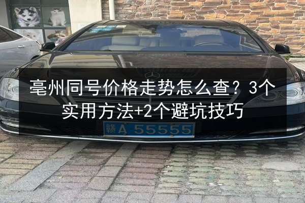 亳州同号价格走势怎么查？3个实用方法+2个避坑技巧 第2张