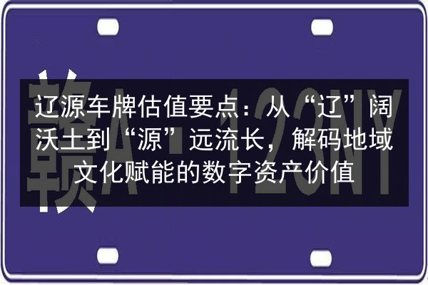 辽源车牌估值要点：从“辽”阔沃土到“源”远流长，解码地域文化赋能的数字资产价值