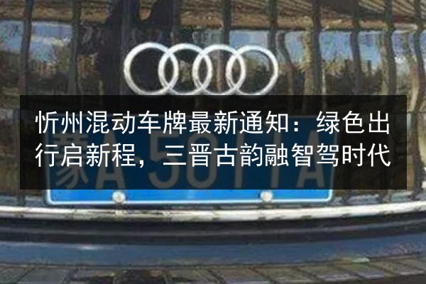 忻州混动车牌最新通知：绿色出行启新程，三晋古韵融智驾时代 第2张