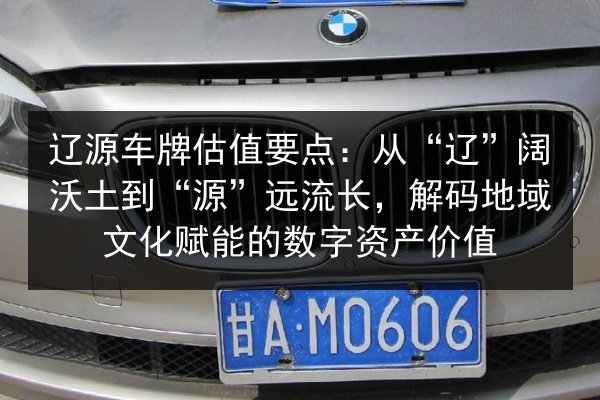 辽源车牌估值要点：从“辽”阔沃土到“源”远流长，解码地域文化赋能的数字资产价值 第2张